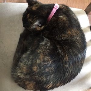 Meet your Posher, Nicole